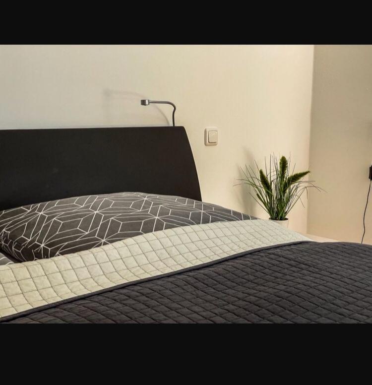 Zimmer - Modernes Apartment Mit 45 Qm. Straubing Bagian luar foto
